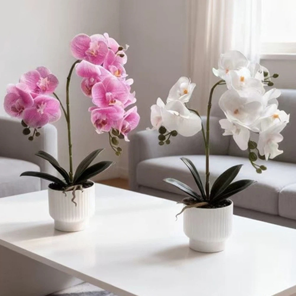 Orchid Phalaenopsis - Multi-Bloom Simulated Butterfly Orchid DIY White
