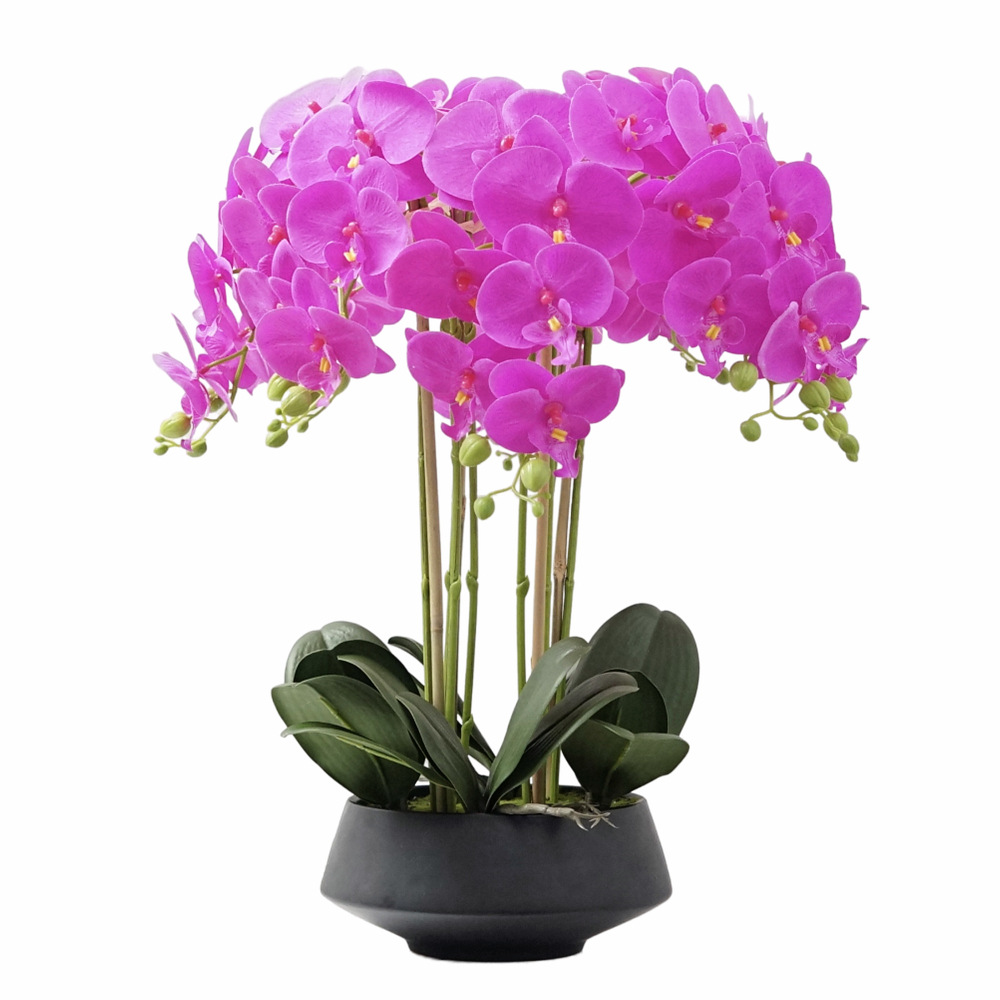 Orchid Phalaenopsis - Artificial Potted Phalaenopsis Real Touch Silk