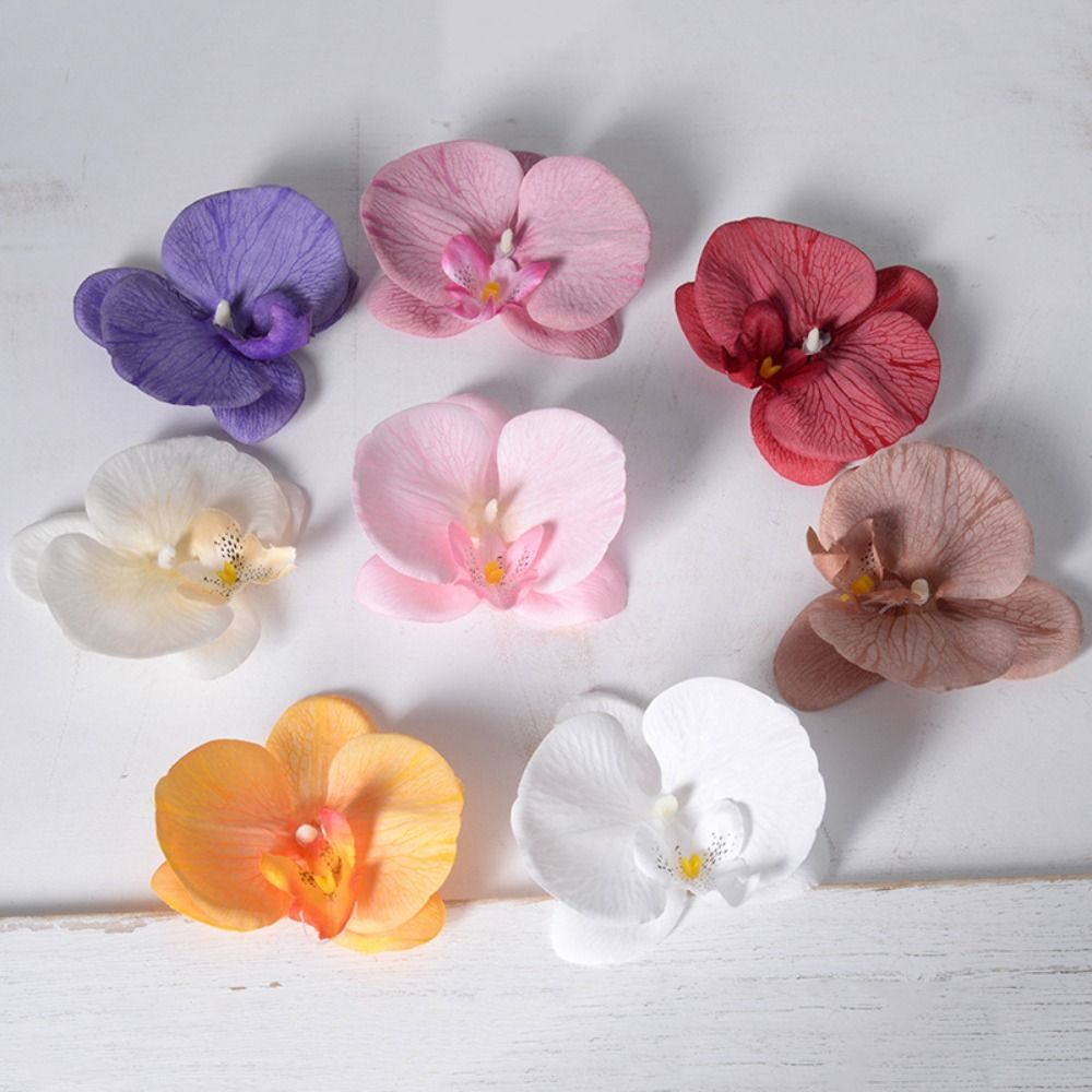 Orchid Phalaenopsis - DIY Phalaenopsis Flower Head Handmade Lovely