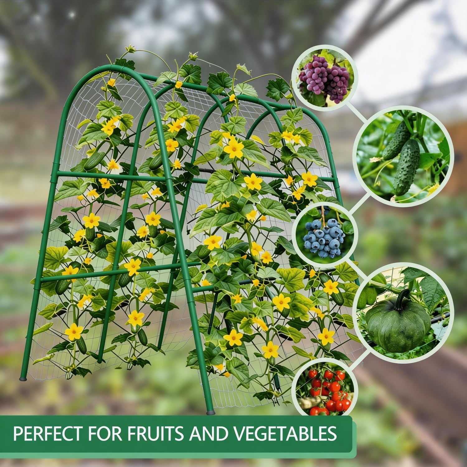 4x5.3FT Garden Arch Trellis fo - огляд і ціна Plants X