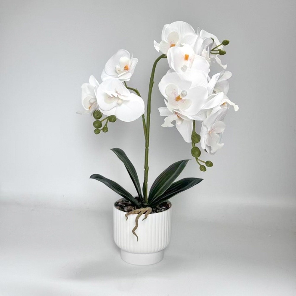 Multi-Bloom Simulated Butterfl - огляд і ціна Orchid Phalaenopsis