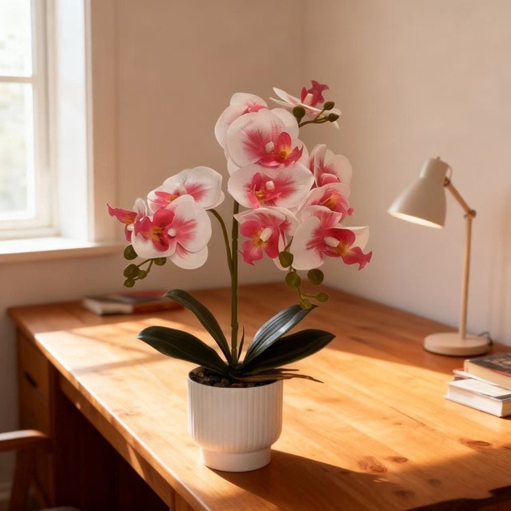 Multi-Bloom Simulated Butterfl - огляд і ціна Orchid Phalaenopsis