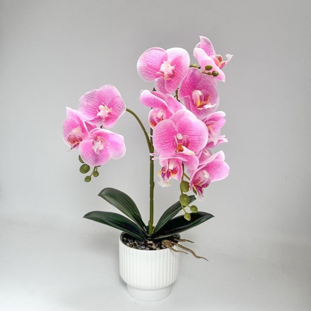 Multi-Bloom Simulated Butterfl - огляд і ціна Orchid Phalaenopsis