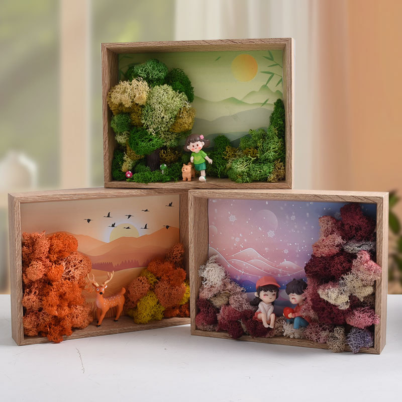 Seaweed Art DIY Kit - 3D Frame - огляд і ціна Plant Parent Gift Set