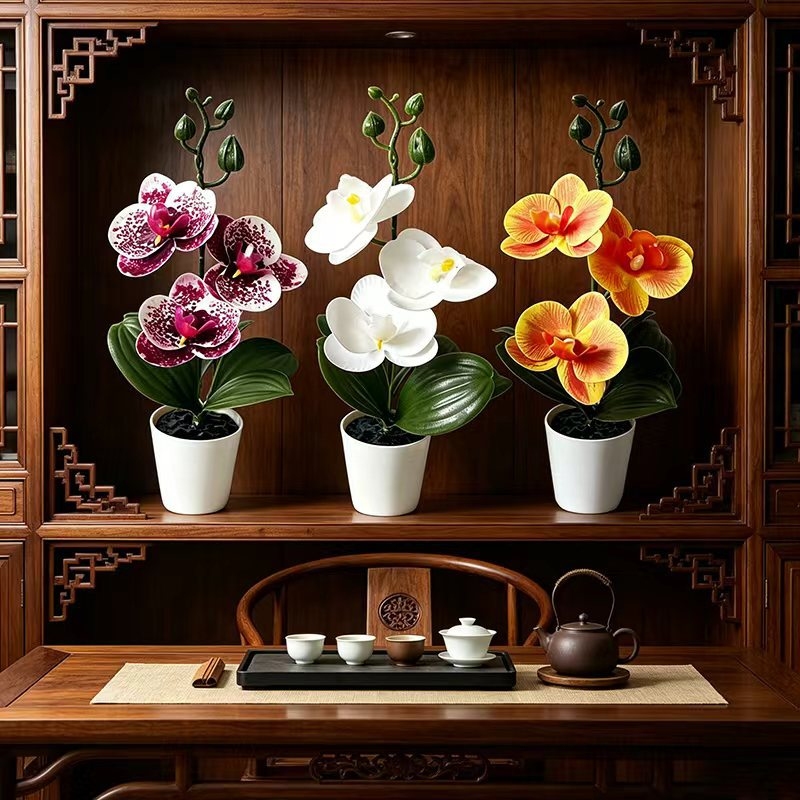 Mini butterfly orchid potted p - огляд і ціна Orchid Phalaenopsis