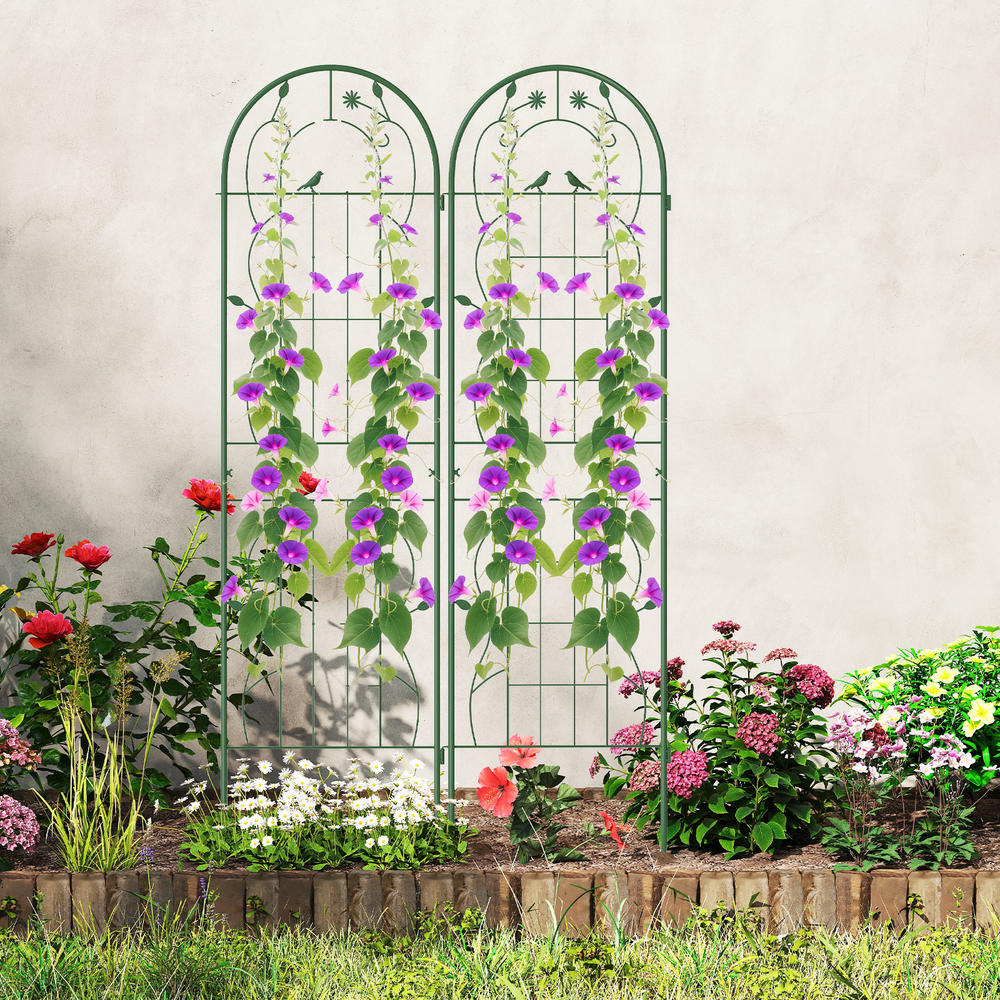 4 Pack 71 X 20 Inches Metal Ga - огляд і ціна Plants X