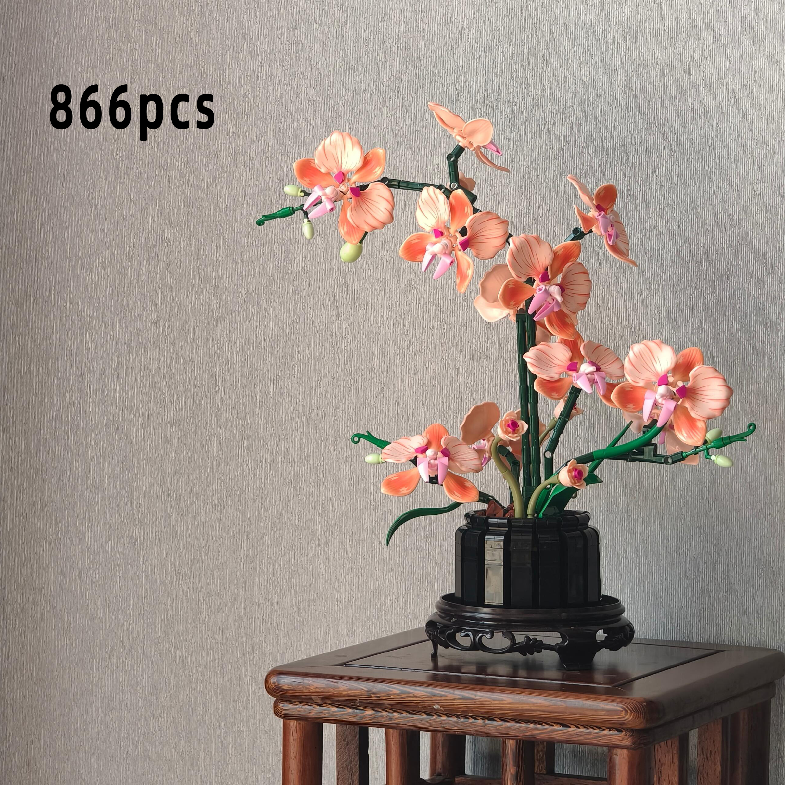 Orange Phalaenopsis Orchid Bui - огляд і ціна Orchid Phalaenopsis