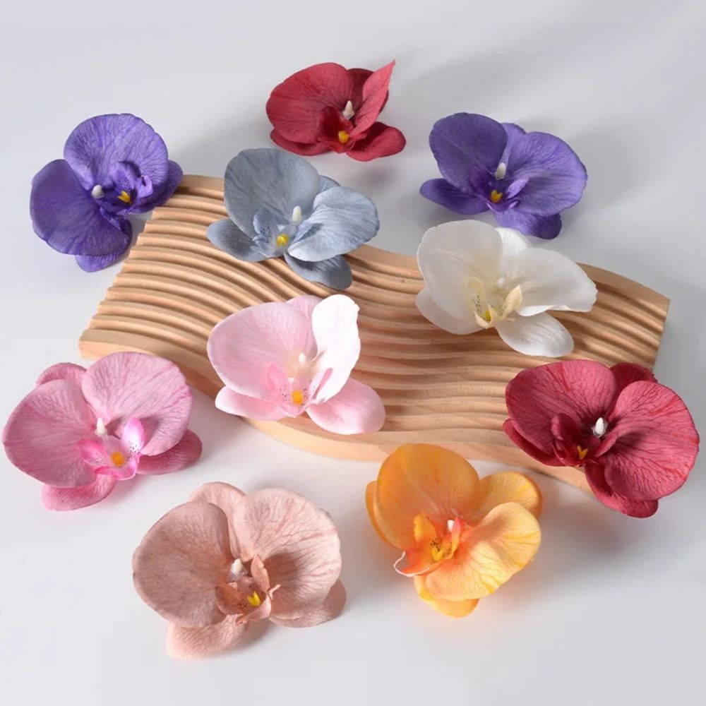 DIY Phalaenopsis Flower Head H - огляд і ціна Orchid Phalaenopsis