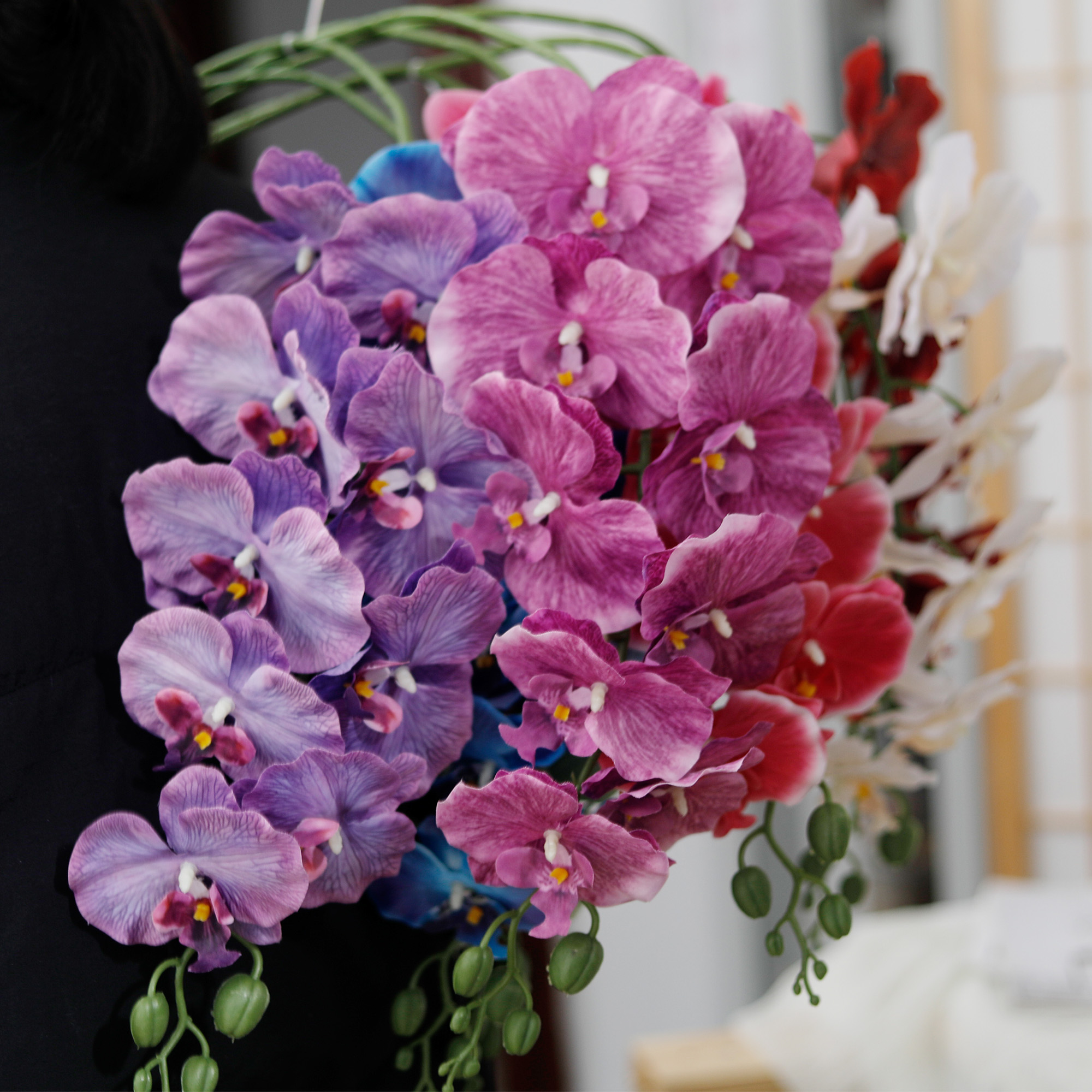 Long Branch Butterfly Orchids  - огляд і ціна Orchid Phalaenopsis