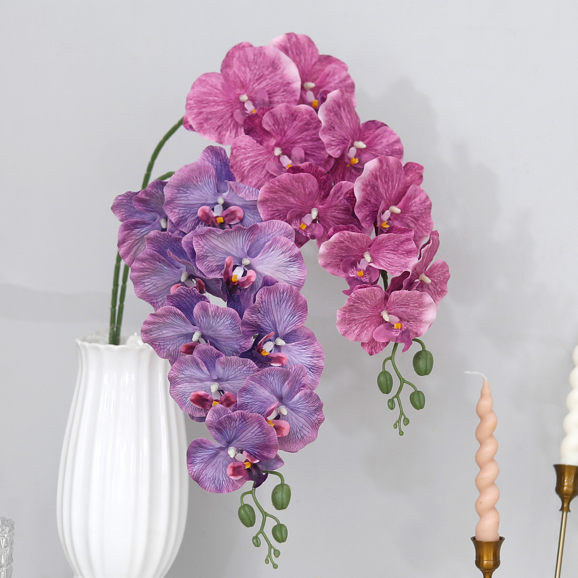 Long Branch Butterfly Orchids  - огляд і ціна Orchid Phalaenopsis