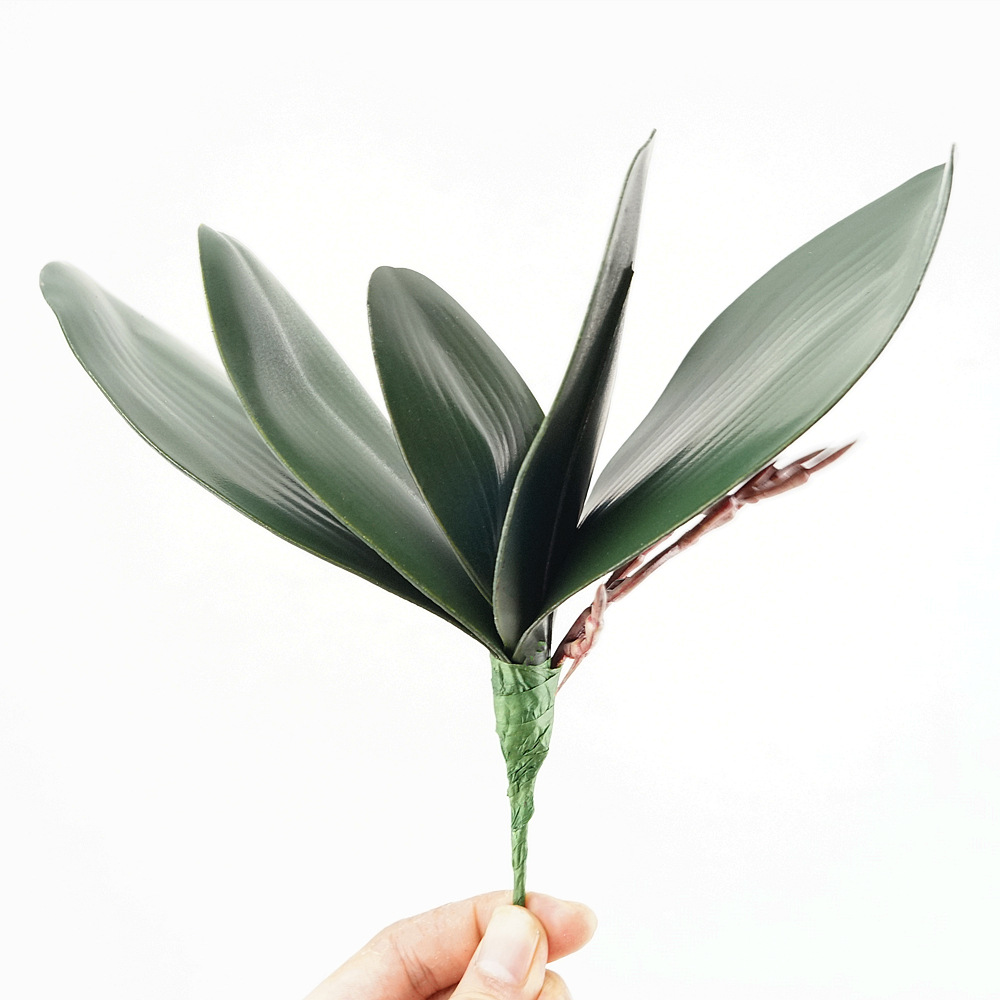 3pc Eva Simulation Phalaenopsi - огляд і ціна Orchid Phalaenopsis