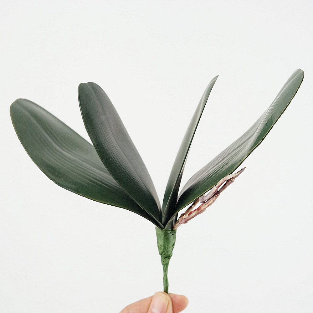 3pc Eva Simulation Phalaenopsi - огляд і ціна Orchid Phalaenopsis