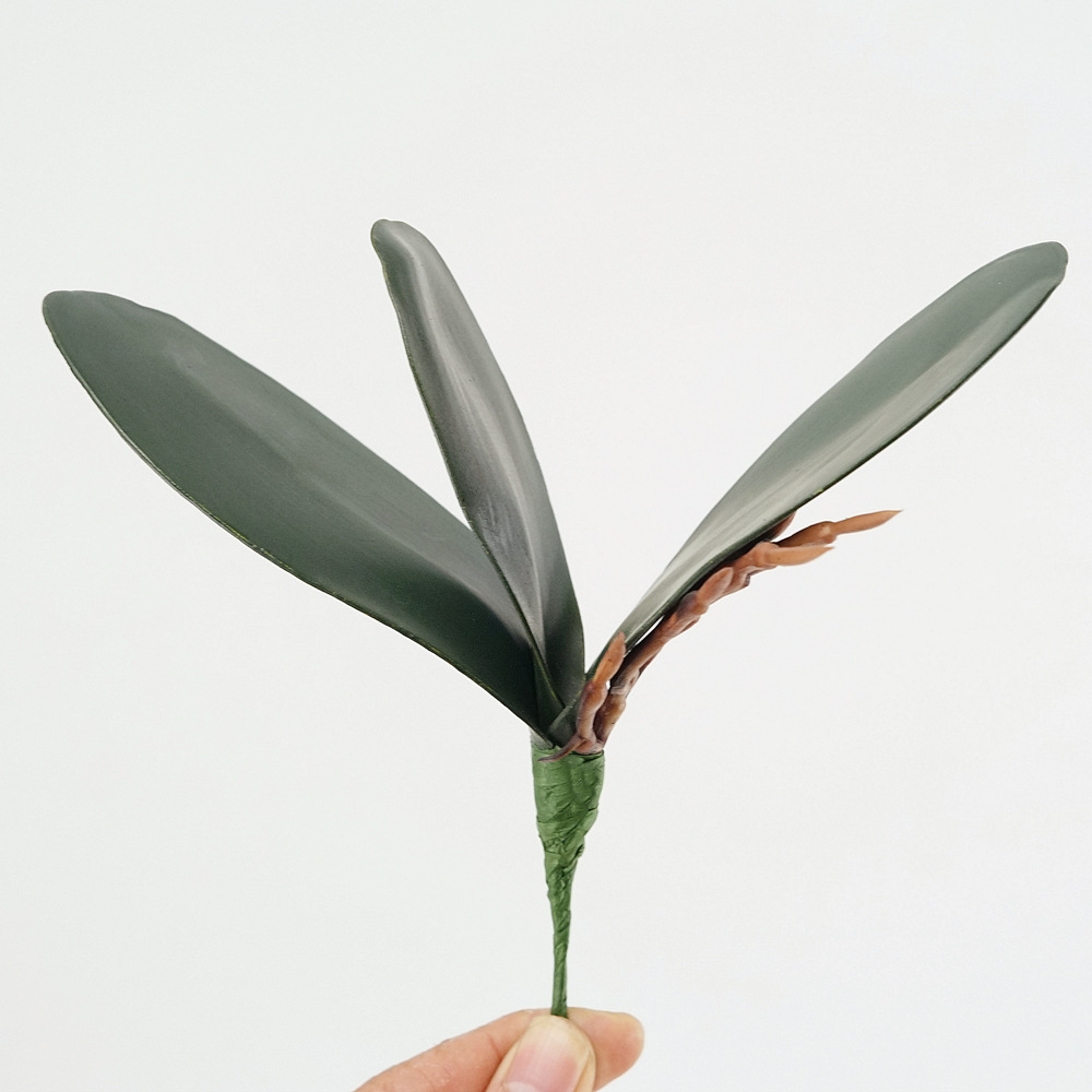 3pc Eva Simulation Phalaenopsi - огляд і ціна Orchid Phalaenopsis