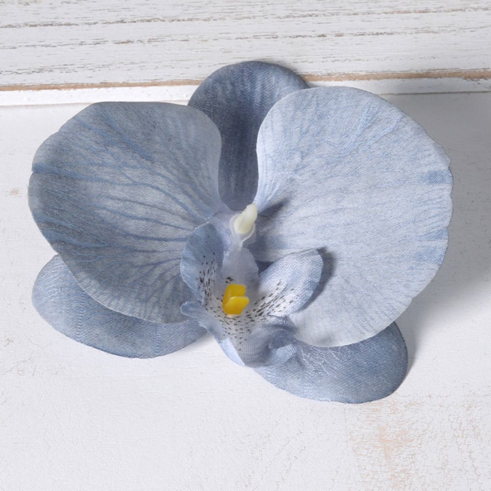 DIY Phalaenopsis Flower Head 1 - огляд і ціна Orchid Phalaenopsis