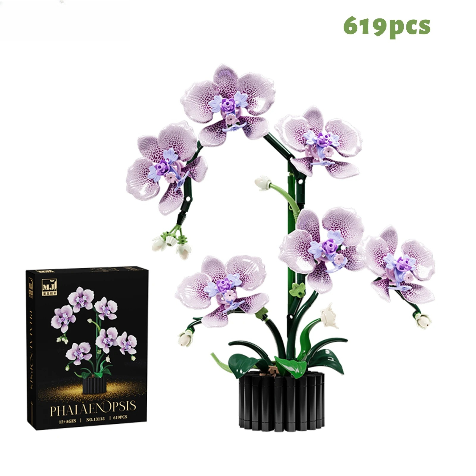 619PCS Phalaenopsis Building B - огляд і ціна Orchid Phalaenopsis