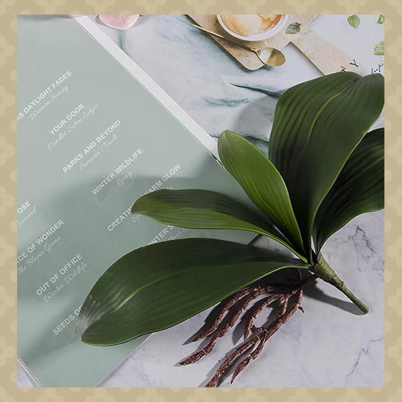 AB45 Phalaenopsis Orchids Leav - огляд і ціна Orchid Phalaenopsis