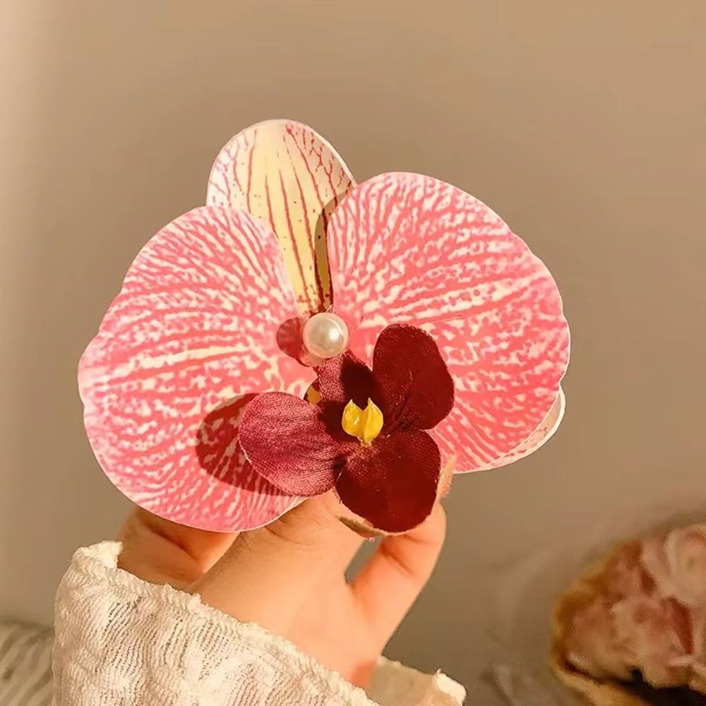 1Pcs Phalaenopsis Pearl Hair C - огляд і ціна Orchid Phalaenopsis