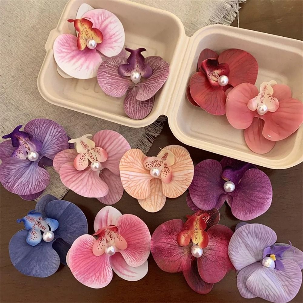 1Pcs Phalaenopsis Pearl Hair C - огляд і ціна Orchid Phalaenopsis