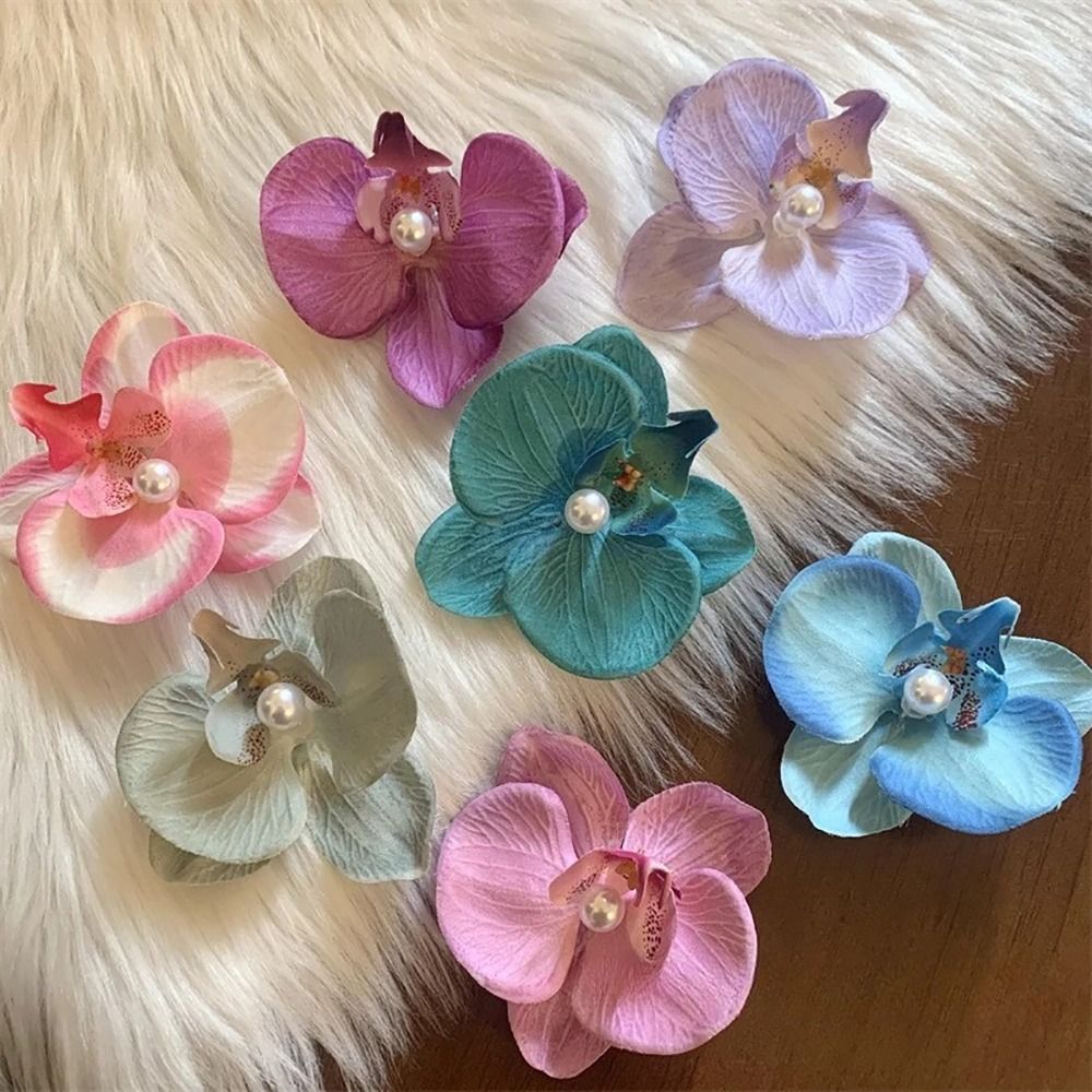 1Pcs Phalaenopsis Pearl Hair C - огляд і ціна Orchid Phalaenopsis