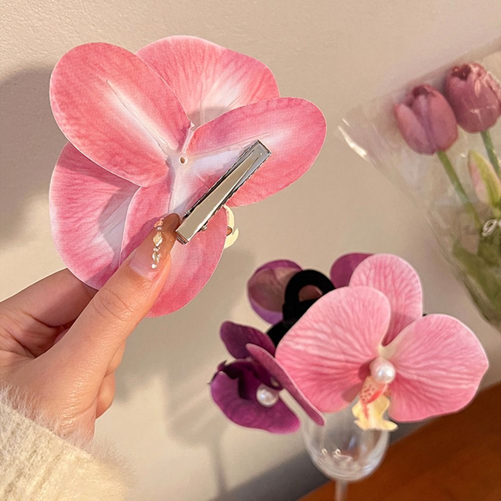1Pcs Phalaenopsis Pearl Hair C - огляд і ціна Orchid Phalaenopsis